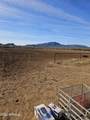 51252 Buffalo Dog Road - Photo 23