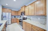 7688 Cactus Wren Way - Photo 15