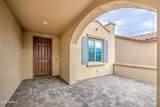 7688 Cactus Wren Way - Photo 2