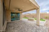 7688 Cactus Wren Way - Photo 39