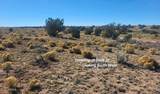 200 Acre Ranch - Photo 10