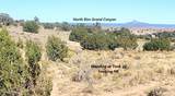 200 Acre Ranch - Photo 11