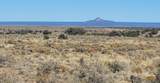 200 Acre Ranch - Photo 15