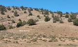 200 Acre Ranch - Photo 18