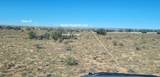 200 Acre Ranch - Photo 6