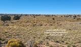 200 Acre Ranch - Photo 7