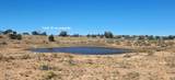 200 Acre Ranch - Photo 9