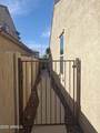 10773 Prickly Pear Trail - Photo 65