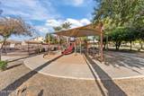 7264 Cactus Wren Drive - Photo 14