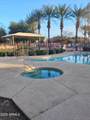 7264 Cactus Wren Drive - Photo 16