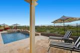 12381 Gilia Way - Photo 47
