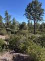 1107 Scenic Drive - Photo 4