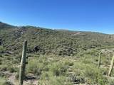 XX000 Gods View Drive - Photo 16