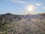 4025 Red Baron Drive - Photo 15