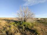 4025 Red Baron Drive - Photo 17