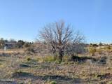 4025 Red Baron Drive - Photo 37