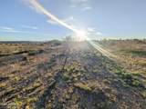 4025 Red Baron Drive - Photo 41