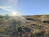 4025 Red Baron Drive - Photo 45