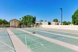 448 Desert Flower Drive - Photo 39