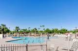 448 Desert Flower Drive - Photo 40