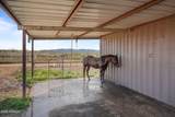 21015 White Feather Lane - Photo 49