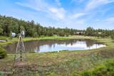 37 1330 - Photo 17