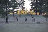 37 1330 - Photo 25