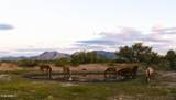 TBD Walker Ranch Road - Photo 11