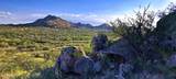 TBD Walker Ranch Road - Photo 13