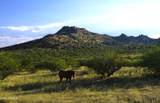 TBD Walker Ranch Road - Photo 16