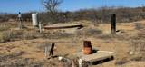 7668 Bear Track Trail - Photo 12