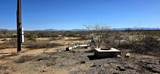 7668 Bear Track Trail - Photo 13