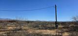 7668 Bear Track Trail - Photo 16