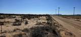 7668 Bear Track Trail - Photo 17