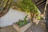 5402 Corrine Drive - Photo 90
