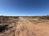 207XX 205th (503-47-132) Avenue - Photo 4