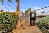 8651 Royal Palm Road - Photo 31