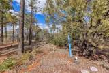4701 Pine Way - Photo 10
