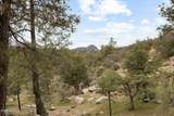 1256 Coyote Run Trail - Photo 60