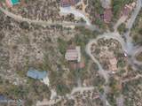 1256 Coyote Run Trail - Photo 69