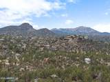 1256 Coyote Run Trail - Photo 72