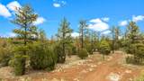 4843 Bison Trail - Photo 5