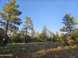 4843 Bison Trail - Photo 6
