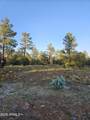 4843 Bison Trail - Photo 7