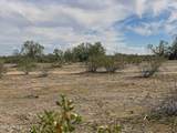 0 Pampas Grass Road - Photo 6