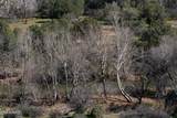 500 Smoke Trail Lane - Photo 5