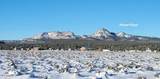 12700 Madman Mountain Road - Photo 59