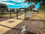 10529 Robin Lane - Photo 25