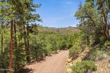 415 Rim Estates Trail - Photo 22