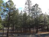 1884 Blue Sky Circle - Photo 39